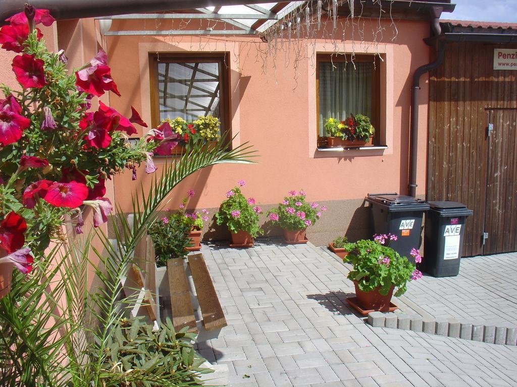 Wellness Penzion Palice Jindřichŭv Hradec Exterior photo